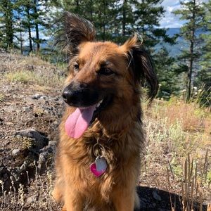 Meet your Posher, Melanie